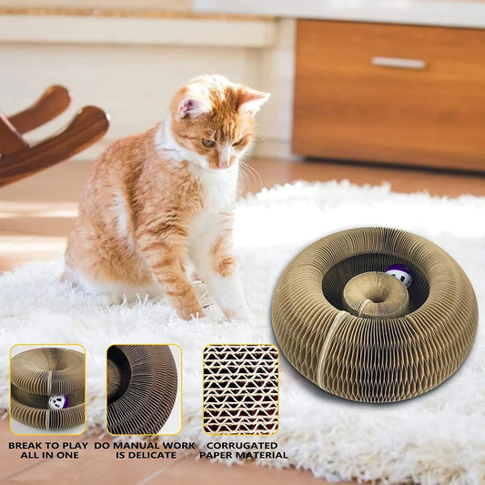 Magic Scratching Board